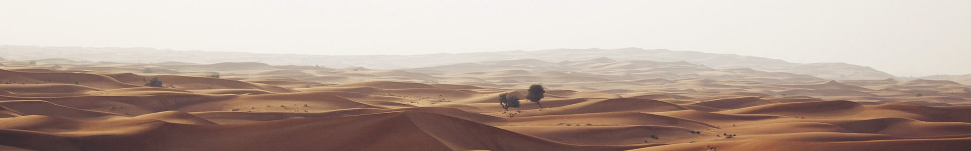 ݽϢƼ޹˾